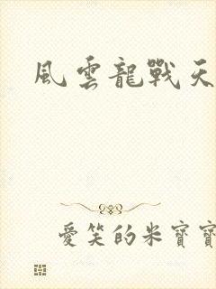 风云龙战天下