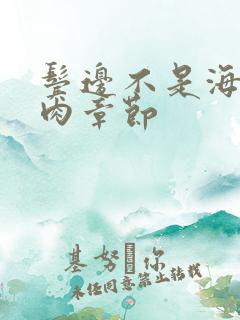 鬓边不是海棠红肉章节