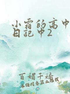 小霜的高中成长日记中2