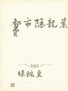 都市隐龙叶辰免费