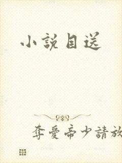小说目送