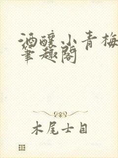 酒酿小青梅po笔趣阁
