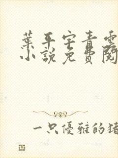 叶平宇青云直上小说免费阅读