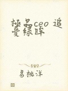 极品ceo 追爱绿眸