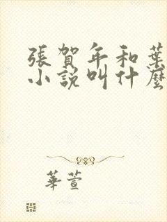 张贺年和叶繁姿小说叫什么名字