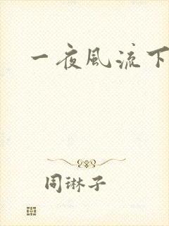 一夜风流下载