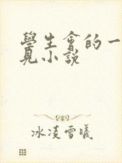 学生会的一己之见小说