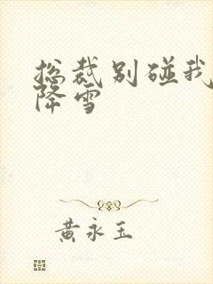 总裁别碰我 韩降雪