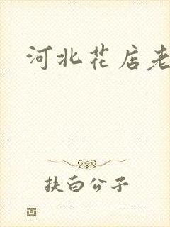 河北花店老板娘