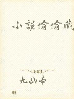 小说偷偷藏不住