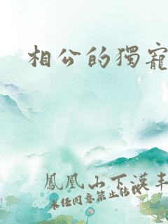 相公的独宠妻子