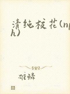 清纯校花(nph)