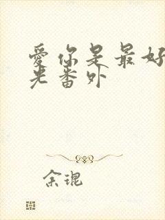 爱你是最好的时光番外