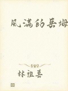 风满的岳坶