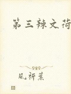 第三辣文荷包网
