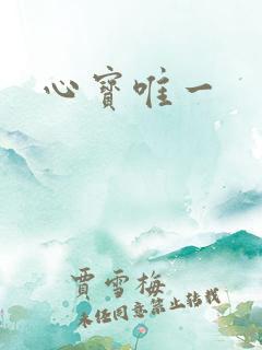 心宝唯一