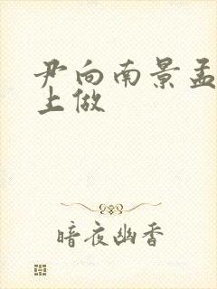 尹向南景孟弦车上做