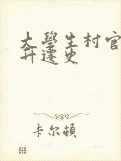 大学生村官艳遇升迁史