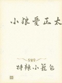 小狼爱正太