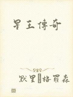 星王传奇