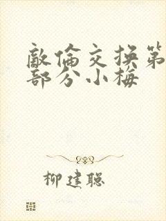 敌伦交换第11部分小梅