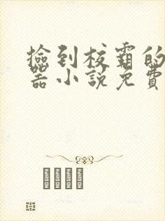 捡到校霸的遥控器小说免费阅读无弹窗