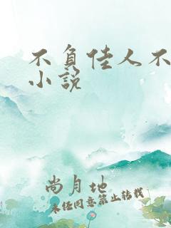 不负佳人不负卿小说