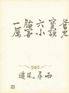 一胎六宝爸比好厉害小说免费阅读