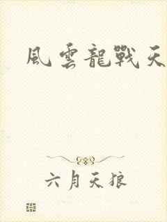 风云龙战天下