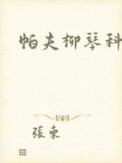 帕夫柳琴科二世