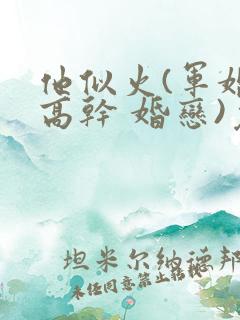 他似火(军婚 高干 婚恋)免费阅读