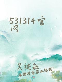 531314官网