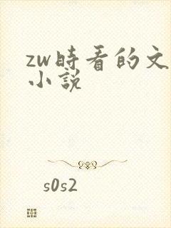 zw时看的文案小说