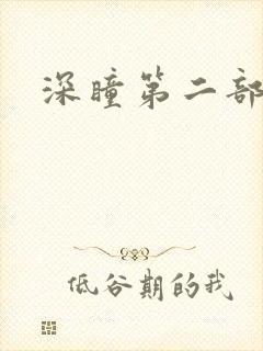 深瞳第二部