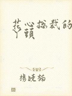 花心总裁的小小丫头