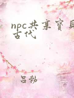 npc共享宝贝古代