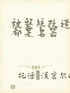 被系统改造全身都是名器