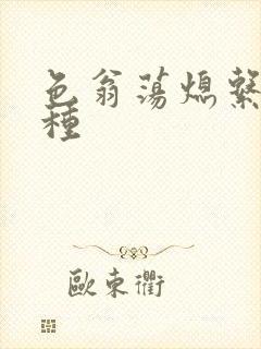 色翁荡熄系列借种