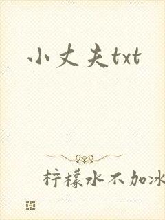 小丈夫txt