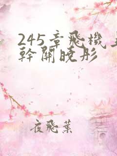 245章飞机上干关晓彤