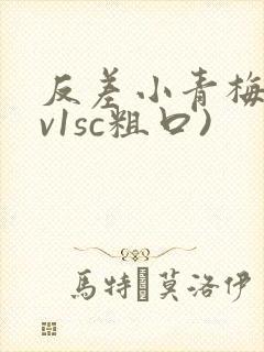 反差小青梅(1v1sc粗口)
