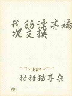 我的漂亮娇妻初次交换