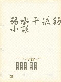 弱水千流的全部小说