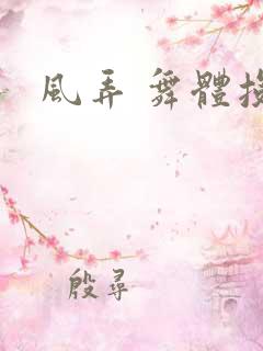 风弄 舞体投递