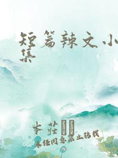 短篇辣文小说合集