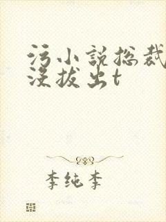 污小说总裁整夜没拔出t