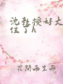 沈教授好大含不住了h