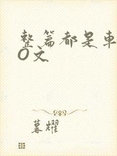 整篇都是车的PO文