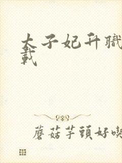 太子妃升职记下载