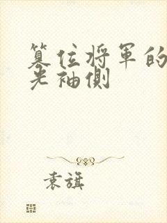 篡位将军的白月光袖侧